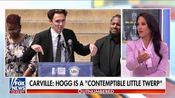 James Carville takes aim at DNC vice chair as civil war escalates: 'Insane'