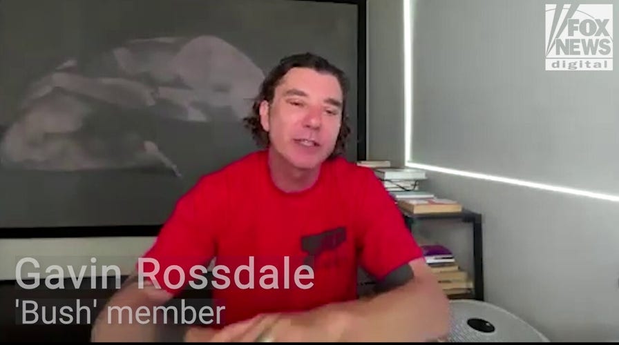 Gavin Rossdale says co-parenting with Gwen Stefani is a 'two-lane highway'