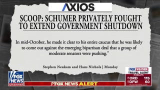 New report suggests Schumer privately fought to extend government shutdown - Fox News