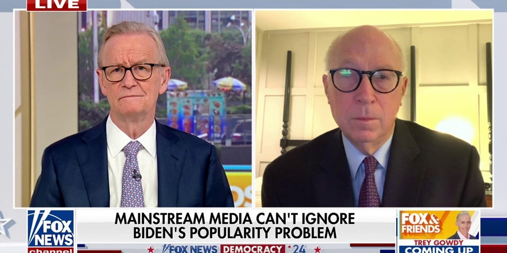 Biden White House has a 'near-total freeze-out' on outside advice, Dem strategist warns