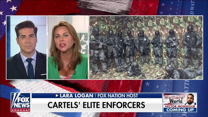Lara Logan raises concern over Mexican cartel specializing in ‘targeted assassinations and kidnappings’