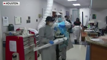 Alex Berenson claims coronavirus spikes in Sun Belt are a 'different order of magnitude' from New York