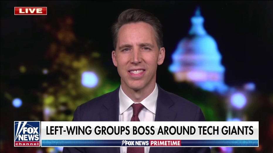 Hawley: Dems want to leverage power of the 'woke' corporations