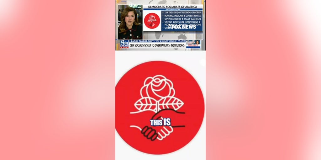 New DSA platform seeks to overhaul US institutions
