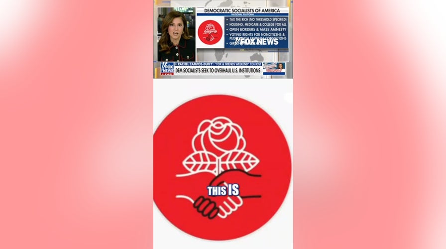 New DSA platform seeks to overhaul US institutions