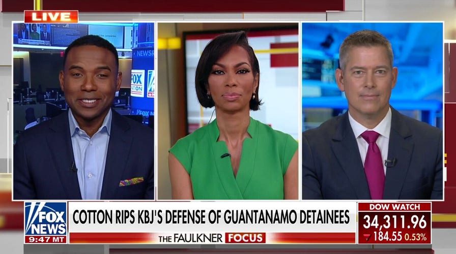 DNC chairman under fire after calling Sen. Tom Cotton 'maggot-infested man'