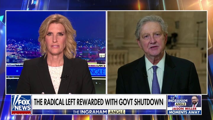 Sen. John Kennedy predicts how long shutdown will last, says Democrats are still 'stamping their little feet'