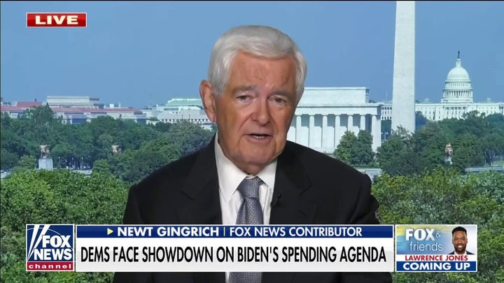 Gingrich: Spending will be ‘suicidal’ for Democrats in midterms