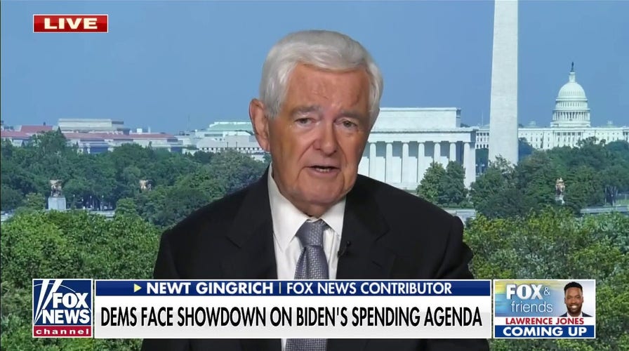 Gingrich: Spending will be ‘suicidal’ for Democrats in midterms
