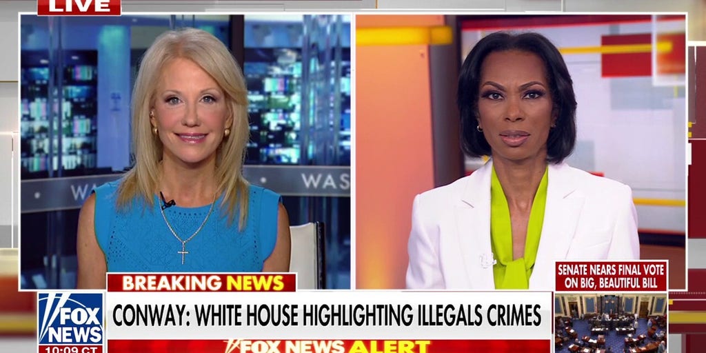 Kellyanne Conway: Americans can 'feel' the strain on resources from immigration