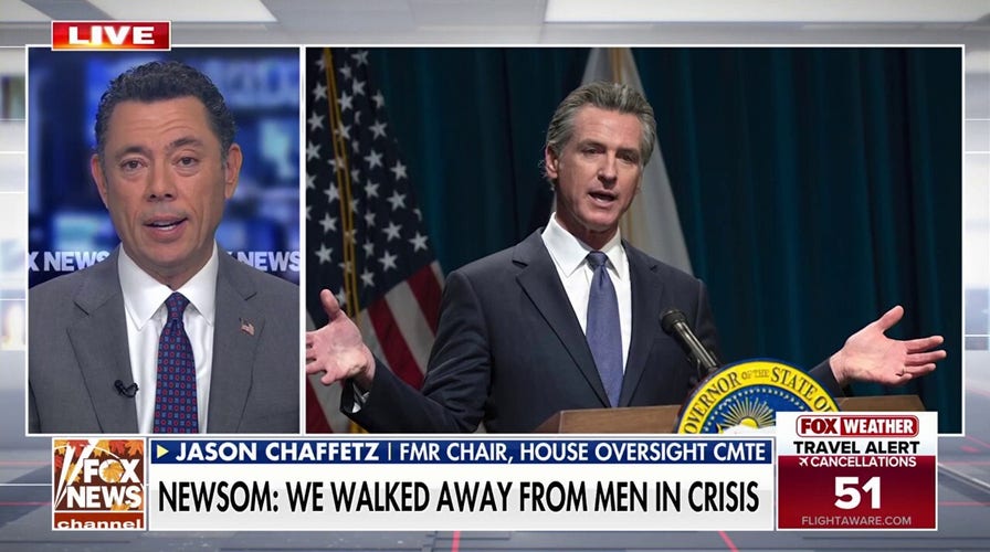 Democratic enactment      divided implicit    maintaining young antheral  voters