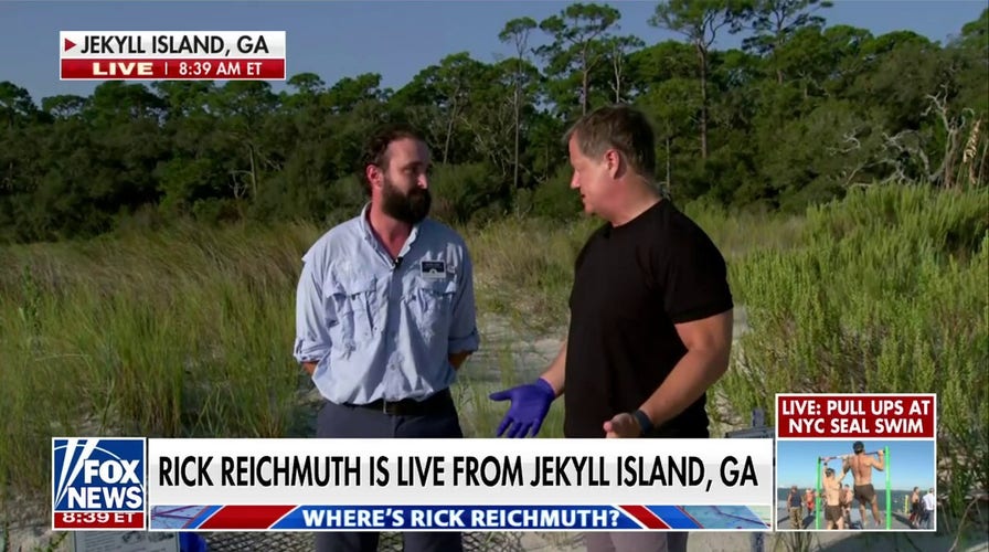 Jekyll Island seeing 'signs of recovery' among sea turtle populations: David Zailo