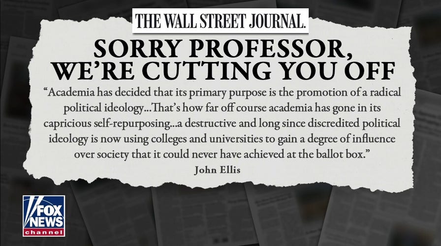 Higher education has been hijacked: College professor 