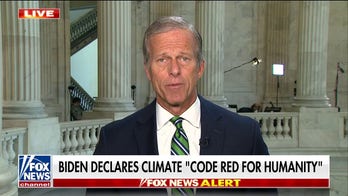 Energy crisis outweighs climate crisis: Sen. Thune