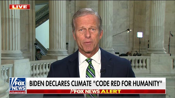 Energy crisis outweighs climate crisis: Sen. Thune