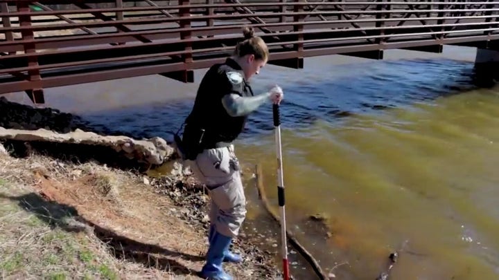 Four drowned dogs found in Oklahoma lake with bricks tied to them