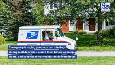 More than 5,200 mail carriers attacked by dogs as USPS issues warning