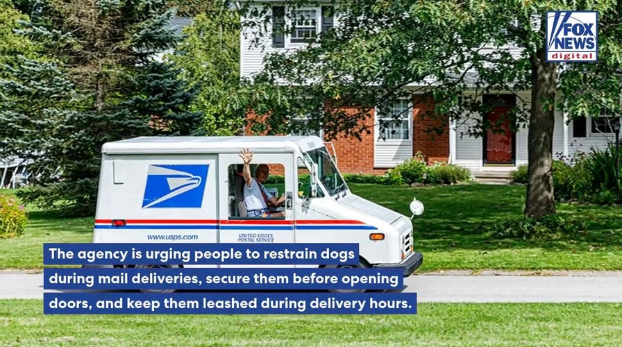 More than 5,200 mail carriers attacked by dogs as USPS issues warning