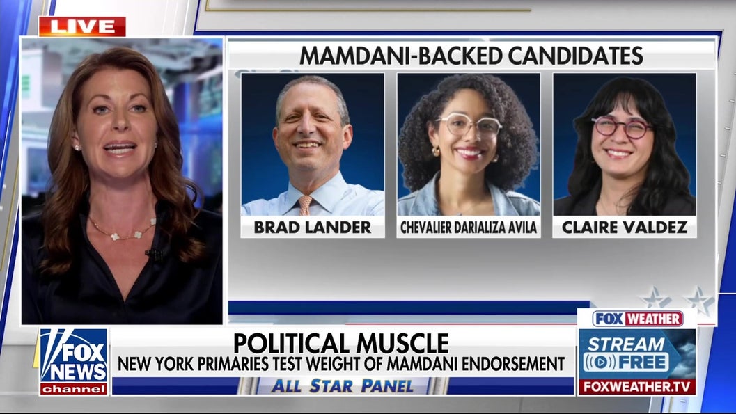 Socialists are 'parasites' latching onto Democratic Party: Former Cuomo chief of staff