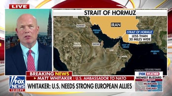 Trump urges NATO allies to secure Strait of Hormuz, challenging German stance