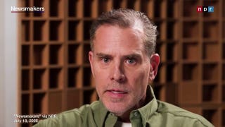 Hunter Biden reveals he never wanted Joe Biden to run for re-election