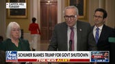 Schumer claims he's been asking Trump to get involved with shutdown 'for months'
