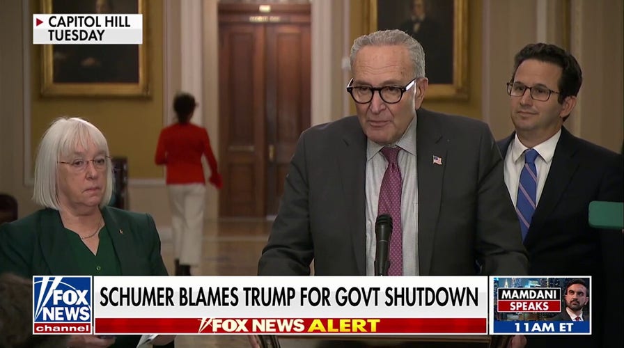Schumer claims he's been asking Trump to get involved with shutdown 'for months'