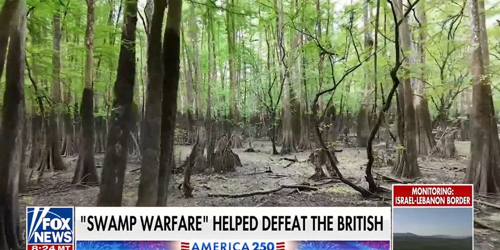 How swamp tactics shaped US guerrilla warfare and helped defeat the British