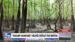 How swamp tactics shaped US guerrilla warfare and helped defeat the British
