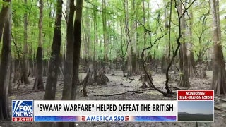 How swamp tactics shaped US guerrilla warfare and helped defeat the British - Fox News
