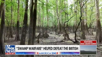 How swamp tactics shaped US guerrilla warfare and helped defeat the British