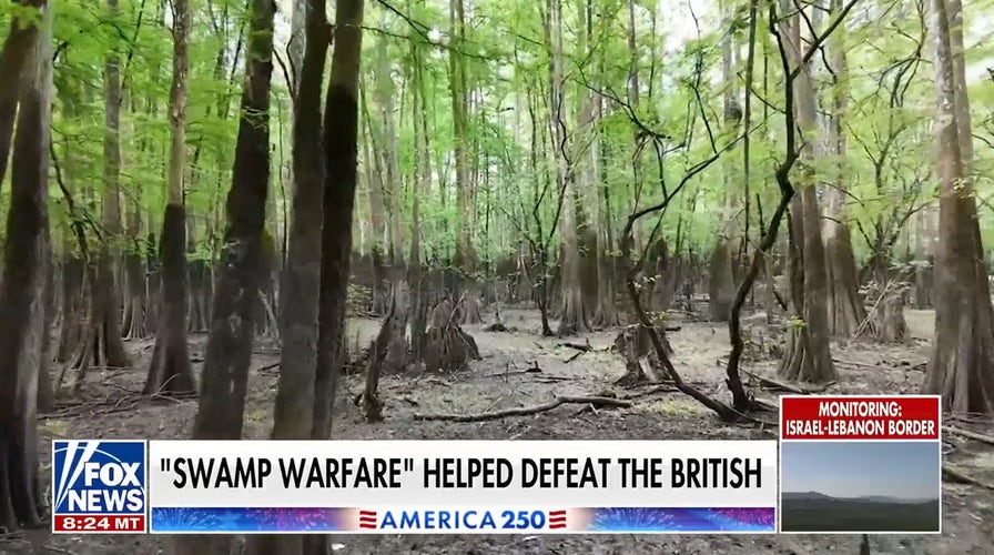 How swamp tactics shaped US guerrilla warfare and helped defeat the British