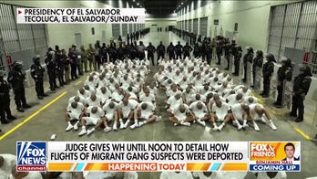 Judge puts White House on deadline to answer specific questions on deportation flights