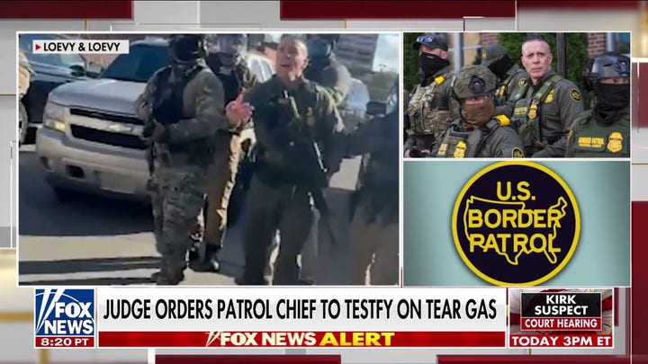 Ari Fleischer says anti-ICE violence, border chaos ‘devastating’ for Democrats