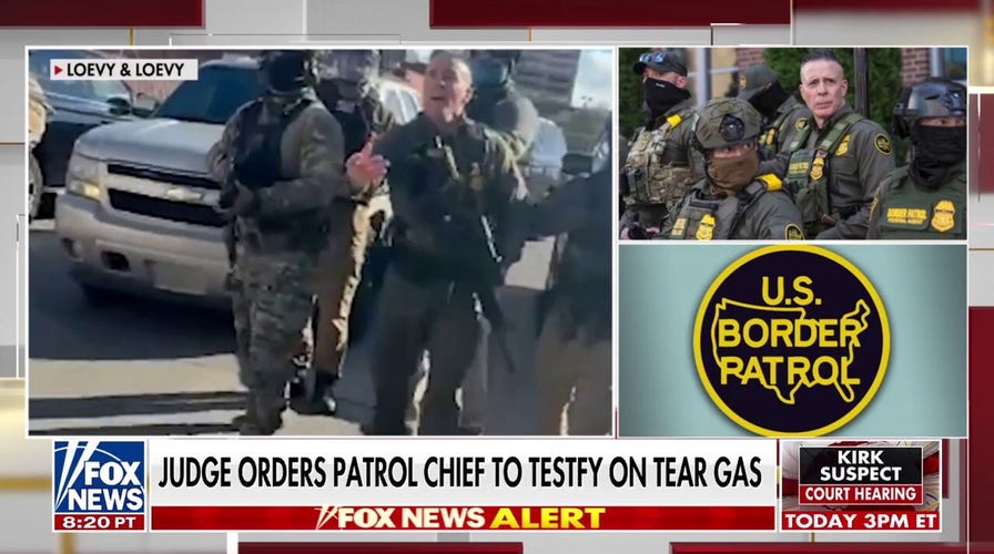 Ari Fleischer says anti-ICE violence, border chaos ‘devastating’ for Democrats