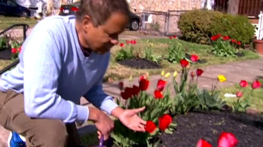 'The Five' create social distancing PSA amid COVID-19 pandemic