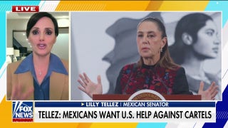 Mexican leaders want US help against cartels