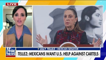 Mexican leaders want US help against cartels