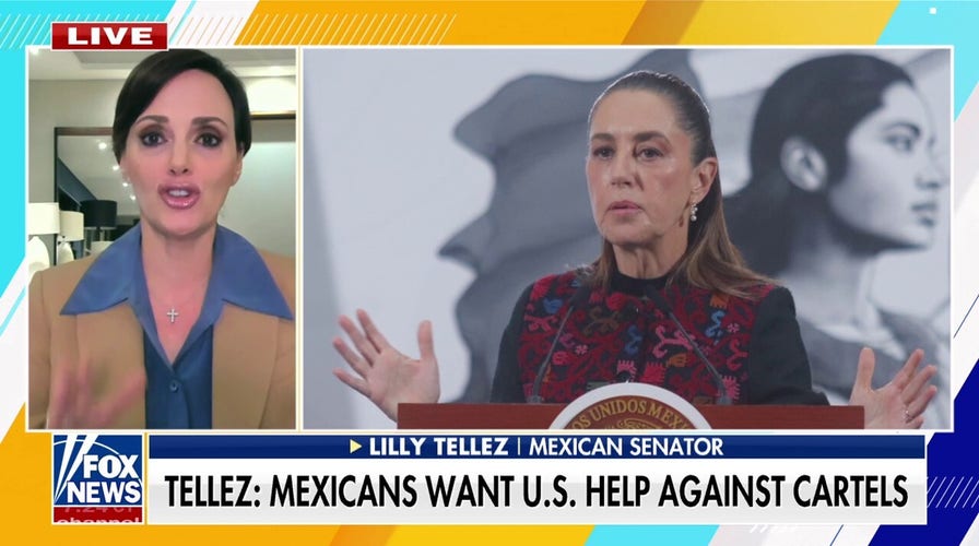 Mexican leaders want US help against cartels