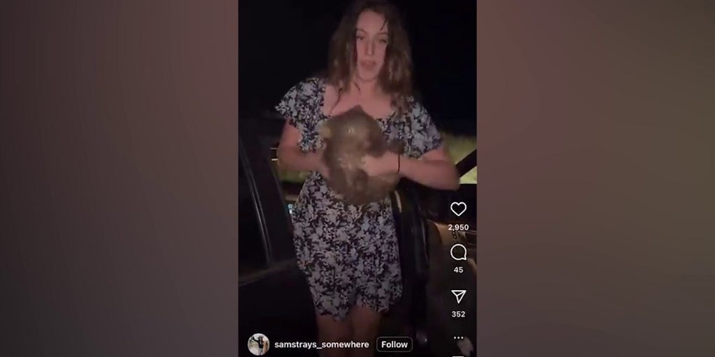American tourist causes international outrage after posting wombat video