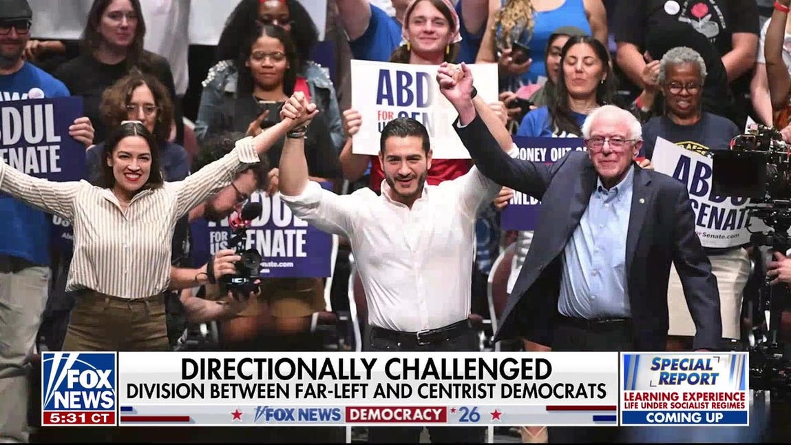 Michigan Democratic Senate primary highlights growing divide within party
