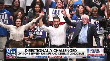 Michigan Democratic Senate primary highlights growing divide within party