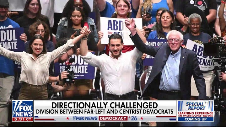 Michigan Democratic Senate primary highlights growing divide within party