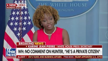 White House says Hunter Biden tax case was a 'personal matter'