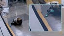 CrimeCam 24/7: Surveillance footage captures every second of a shocking attack on a veteran officer