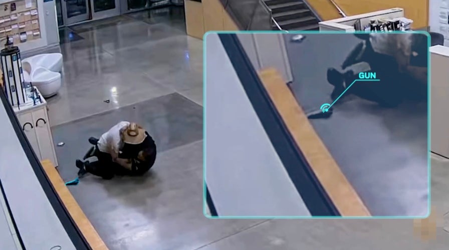 CrimeCam 24/7: Surveillance footage captures every second of a shocking attack on a veteran officer
