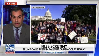 'DOCUMENT DUMP': Who is driving the Epstein fallout?