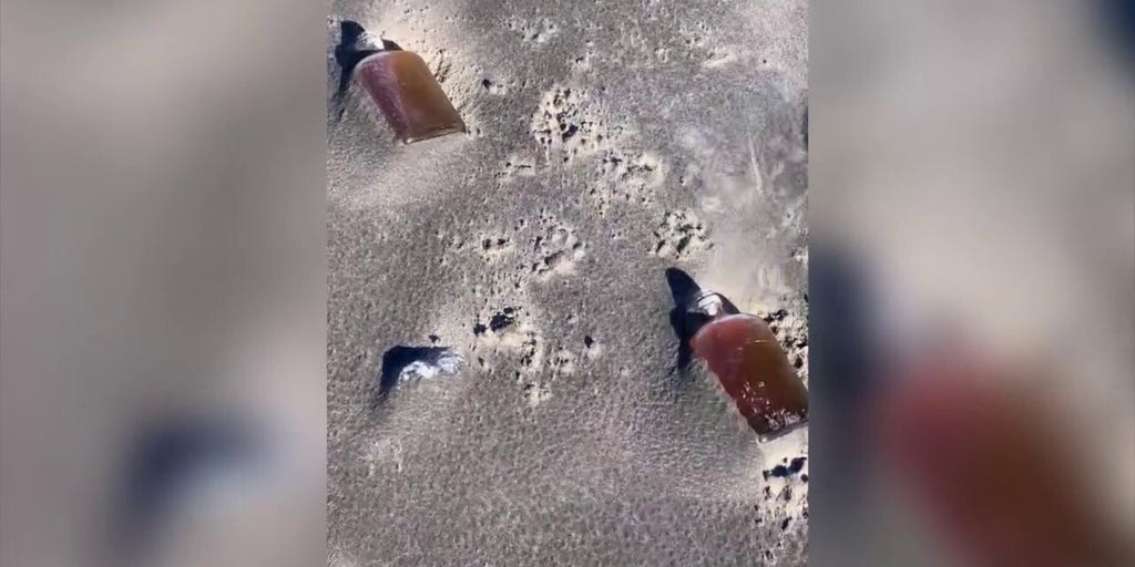 Prohibition-era whiskey bottles found washed ashore on beach