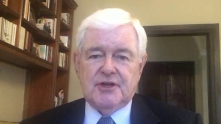 Newt's solution to 'mobs' toppling statues amid unrest