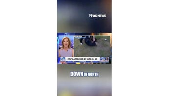 Multiple officers allegedly attacked by mob in SC